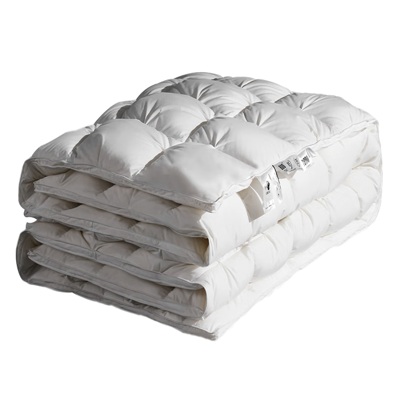 ӡƷ100%׶ë˿200*230cmԼ6.4ﶬо2000g Ť 369Ԫ