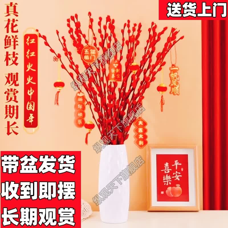 银柳鲜枝插花干花红柳枝过年客厅室内花卉年宵花真花水培植物花卉 60cm高 【30支鲜枝+白钻迎喜瓶+10挂饰】