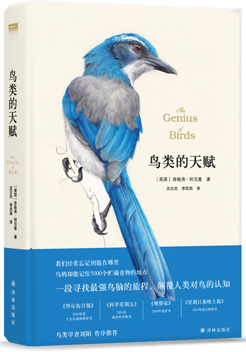 鸟类的天赋（豆瓣8.6！荣获第十届吴大猷科普著作奖翻译类佳作奖）