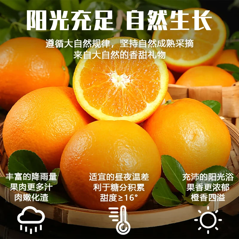 鲜果部落 正宗赣南脐橙江西橙子赣南脐橙新鲜水果赣州脐橙手剥甜橙礼盒甜 超值装整箱10斤【单果140g+】——净重9斤