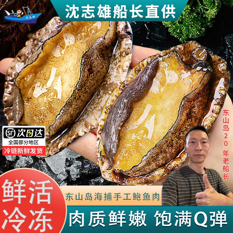 沈志雄福建东山岛鲍鱼肉鲜活冷冻新鲜特大去壳冰鲜速冻小鲍鱼海鲜 去脏鲍鱼肉12个1包【1包约300g左右】
