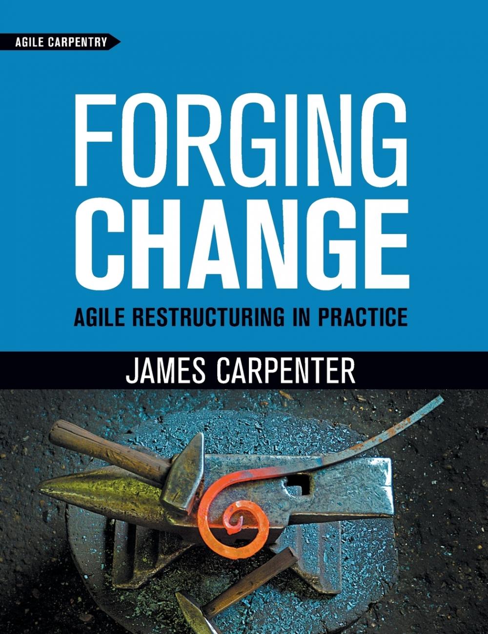 【预售 按需印刷】forging change