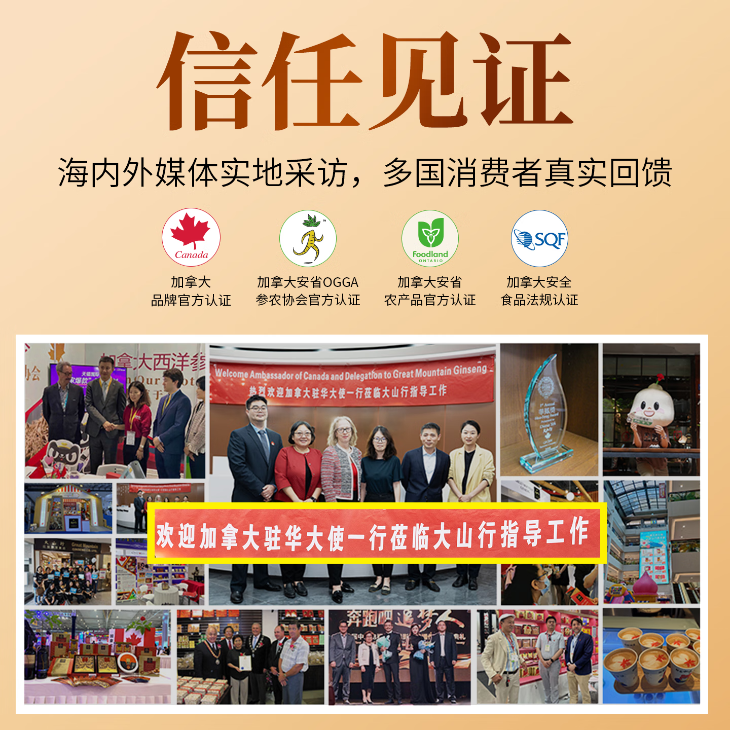 大山行【原装进口】加拿大西洋参硬糖227g日常滋补营养保健正品花旗参粒 西洋参硬糖 227g*1盒 【原装进口】