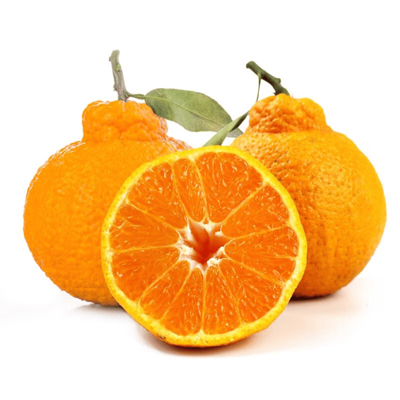 泰汇吃源头直发不知火丑橘四川新鲜水果整箱孕妇橘子时令柑橘 整箱5.5斤果径75-90MM净重5斤