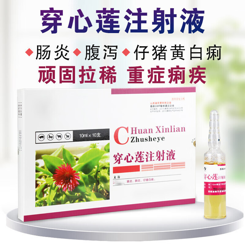 牧丰康药业(mofokangyaoye)穿心莲注射兽用 兽药剂穿心莲注射针液兽用