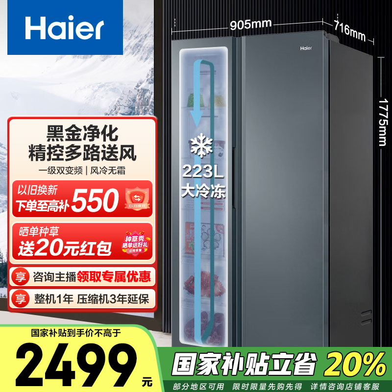 海尔（Haier）盛宴 616升对开门冰箱黑金净化一级双变频精控多路送风超大容量BCD-616WGHSSEDC9国家补贴20% 616L对开|黑金净化