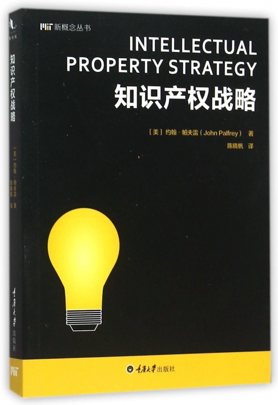 知识产权战略/新概念丛书