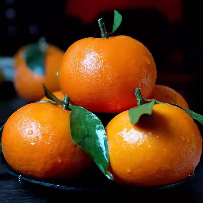 广西武鸣沃柑蜜桔子 香甜多汁橘子爱媛果冻橙脐橙耙耙柑生鲜水果 花皮果8.5-9斤65mm+(花皮不售后)