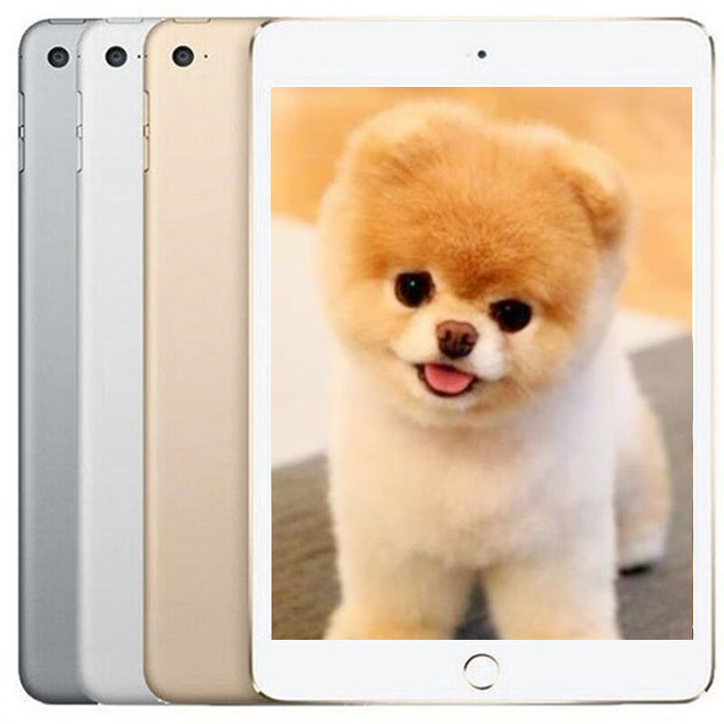 【二手9成新】Apple苹果 iPad Mini4/5 迷你4/5 国行7.9英寸游戏影音平板电脑 mini4 32G  WIFI版