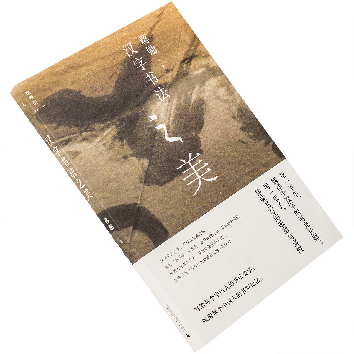 汉字书法之美 蒋勋 理想国蒋勋作品 插图本 广西师范大学 修订版 审美