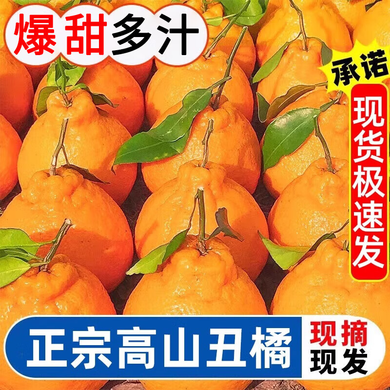 ȹ ֪ Ĵ 5ѡװ 60mm+ 4.5 11.6Ԫ