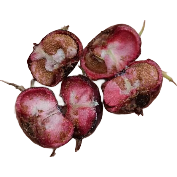 �����������ʺ����֩���������֮��ˮ����ժ-ĭ���� �����С��1�г���װ 5.9Ԫ