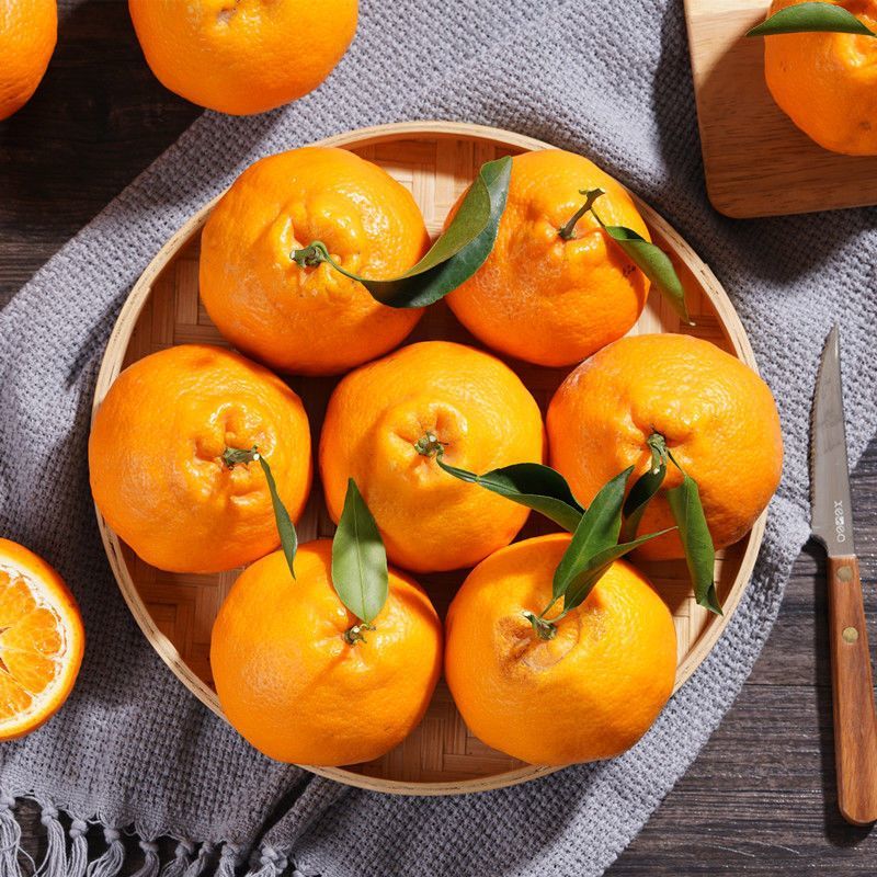 鲜耐四川春见耙耙柑大果当季新鲜橘子粑粑柑丑橘 净重9斤 单果85mm+ 38.8元