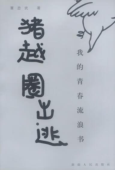 猪越圈出逃:我的青春流浪书
