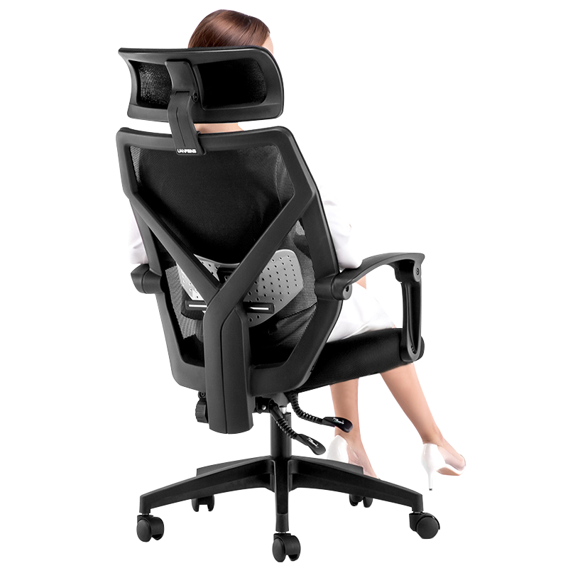 DS-203 人体工学电脑椅 黑色