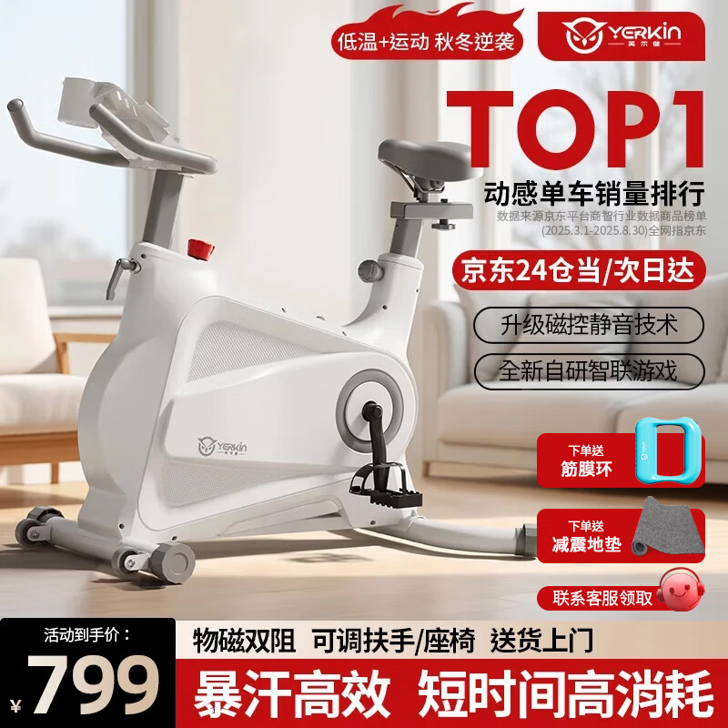 英尔健家用动感单车智能磁控静音运动减肥健身器材室内脚踏车健身单车 [旗舰pro]速燃智能表/动态减震/AR实景骑行/AI智训