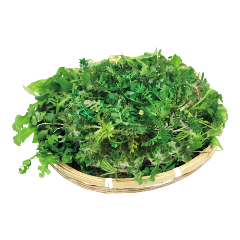 ��������ˡ���������Ұ���������������˵ز˽�����������ڴ��� ɽ�����˾���4�� 26.99Ԫ