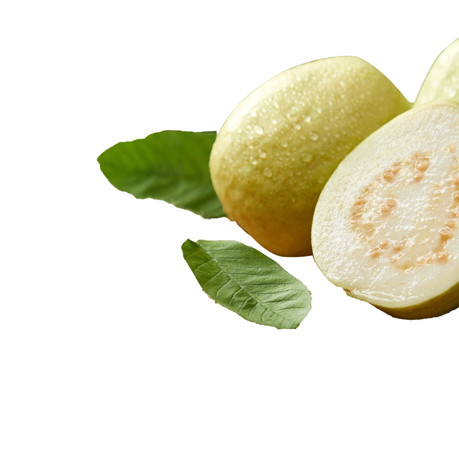 京鲜生 树熟软糯奶油芭乐 4个装 单果150g+源头直发包邮