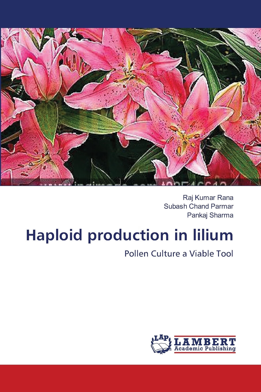 【预售 按需印刷】haploid production in lilium