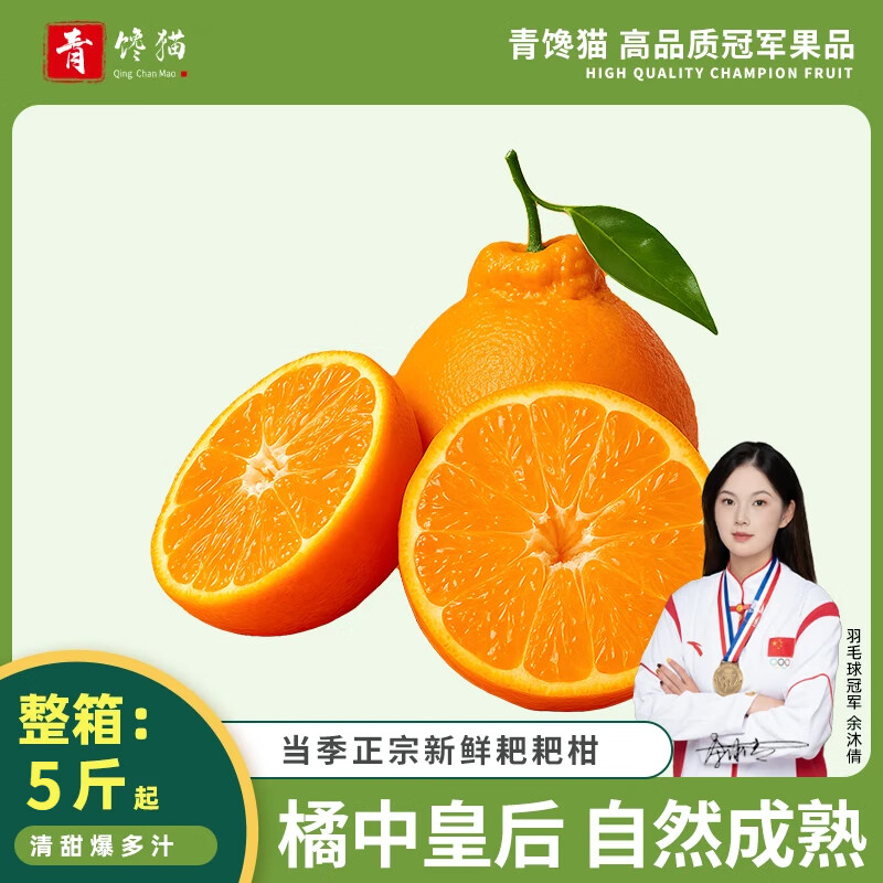 青馋猫四川春见耙耙柑新鲜柑橘粑粑柑时令水果新鲜柑橘子【产地直发】 精选A级果-单果70mm+【带箱5斤】