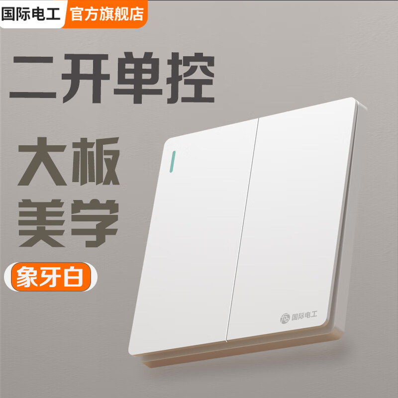 国际电工（FDD）86型大板雅白开关插座时尚美学开关面板大间距插孔多开多控电源 大板雅白-二开单控
