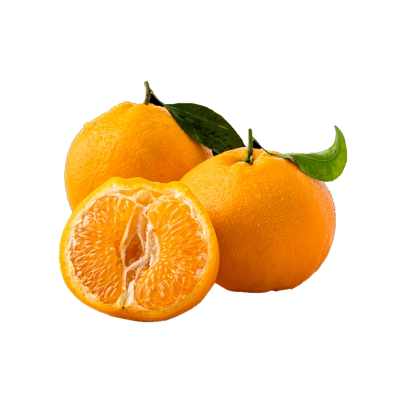 ���ڹ����ָ� ����ˮ�� ����������һ������ Ӧ����ժ �и�ˮ�� �й�2����� ����60mm+