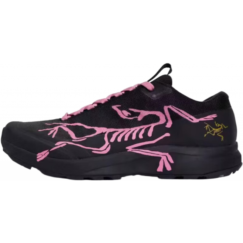 始祖鳥（ARC'TERYX）球鞋定制 Aerios Fl 2 GTX 金龍戲墨 低幫男女款戶外功能鞋休閑鞋  Team80-化石秘境玫粉S 40.5 官方鑒別，假一賠三