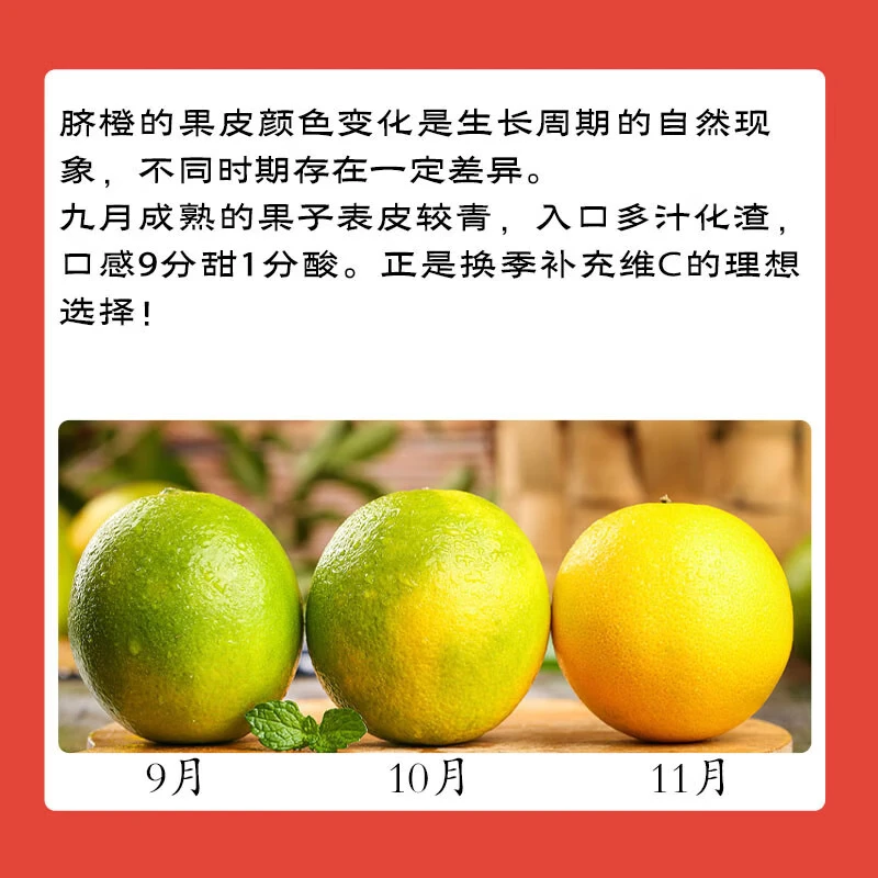 鲜果部落 正宗赣南脐橙江西橙子赣南脐橙新鲜水果赣州脐橙手剥甜橙礼盒甜 超值装整箱10斤【单果140g+】——净重9斤