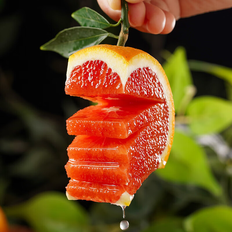 Ѫ�� ������� ����ѩ�� ������� 2�ﺬ�� 60mmС�� 3.15Ԫ