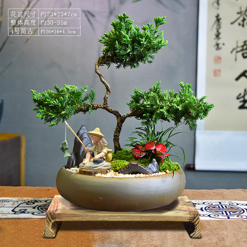 真柏盆栽室内办公室开业绿植迎客松造型茶桌绿植盆景真树桌面摆件 境林艺术3层真柏+简古底座+渔夫 送营养液和喷壶