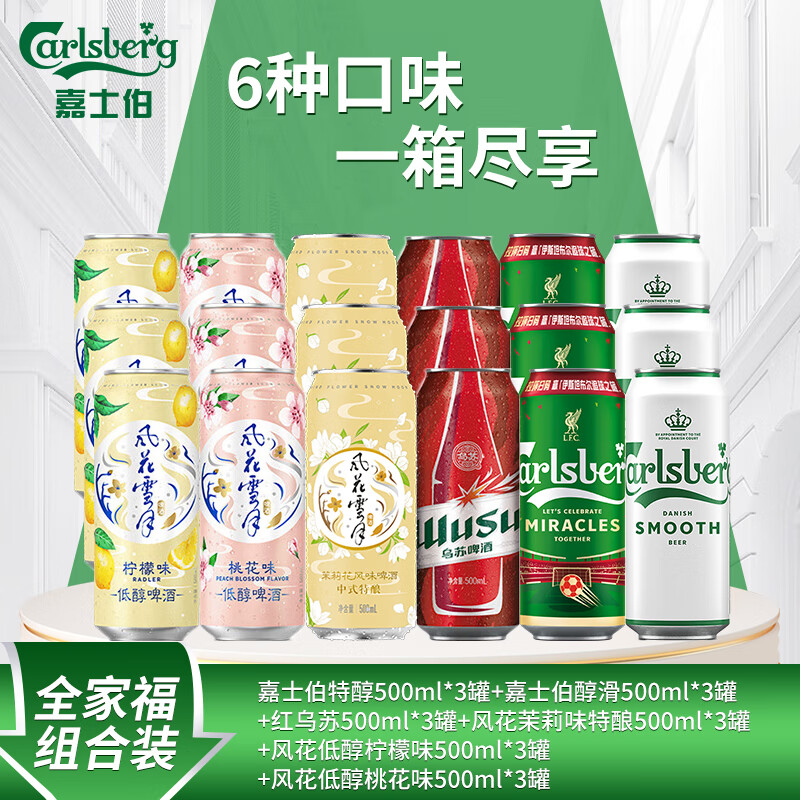 嘉士伯啤酒全家福组合尝鲜装500ML*18罐多口味聚会自饮啤酒整箱非原箱 六种口味组合装 500mL 18罐