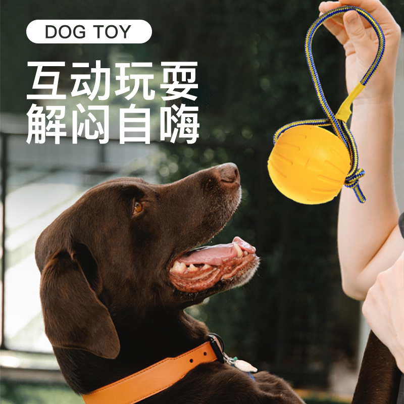 狗玩具如何查历史价格|狗玩具价格走势图