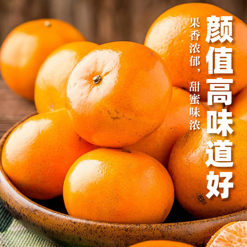 青馋猫正宗广西武鸣沃柑产地现摘现发当季水果新鲜沃柑纯甜蜜桔柑橘整箱 净重4.5斤-超值装【70-75mm】带箱