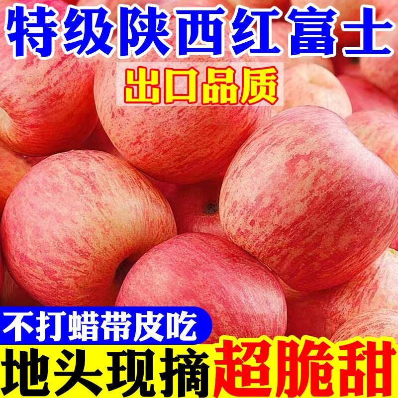 【现摘】正宗洛川苹果当季新鲜水果孕妇脆甜红富士苹果冰糖心水果 膜袋富士70mm+带箱9斤