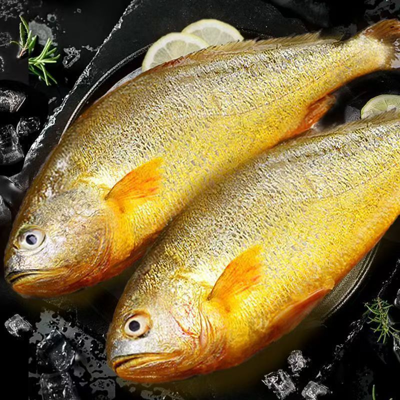 ƻ䶳ڻƻ 400-500*3 96Ԫ