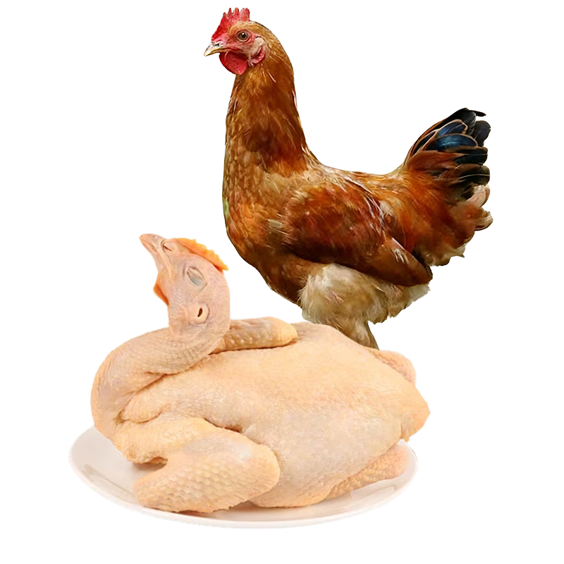 ڲȸ ͯӼ 1.3*1ֻ Ŵ Դͷֱ 27.1Ԫ