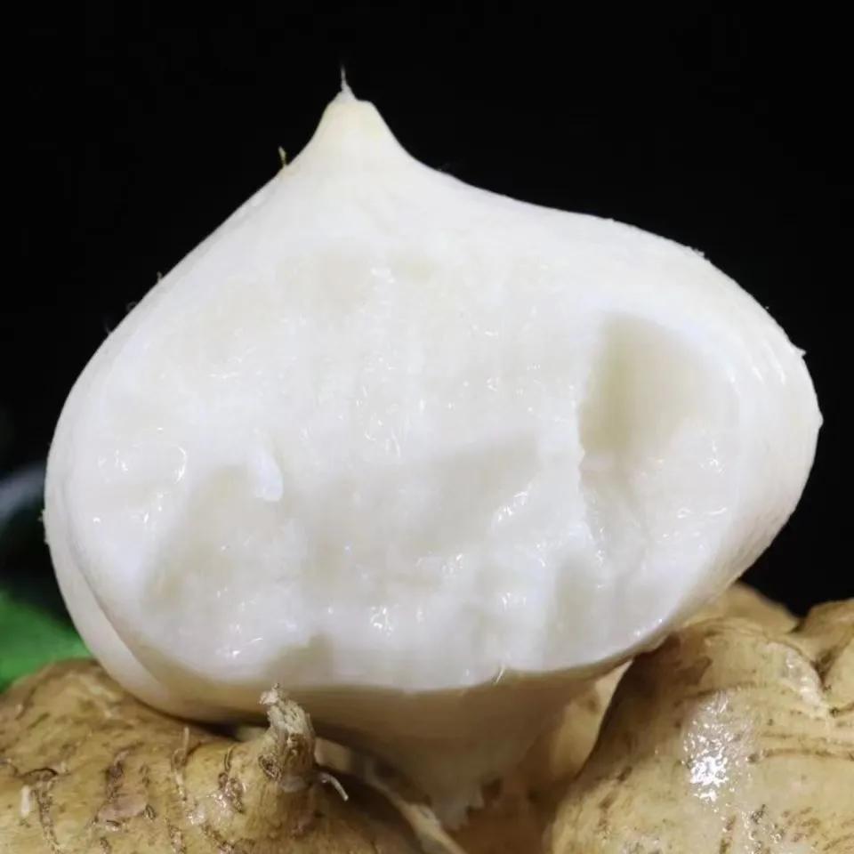 贵州新鲜地萝卜凉薯脆微甜沙葛土瓜水果现挖农家自产白地瓜即食 9斤小果