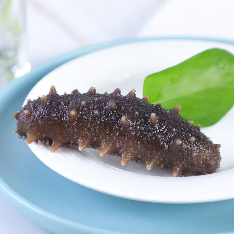 即食海参 大连刺参500g 海产品新鲜辽刺单抽真空即食滋补海生海渗 18-22头/斤