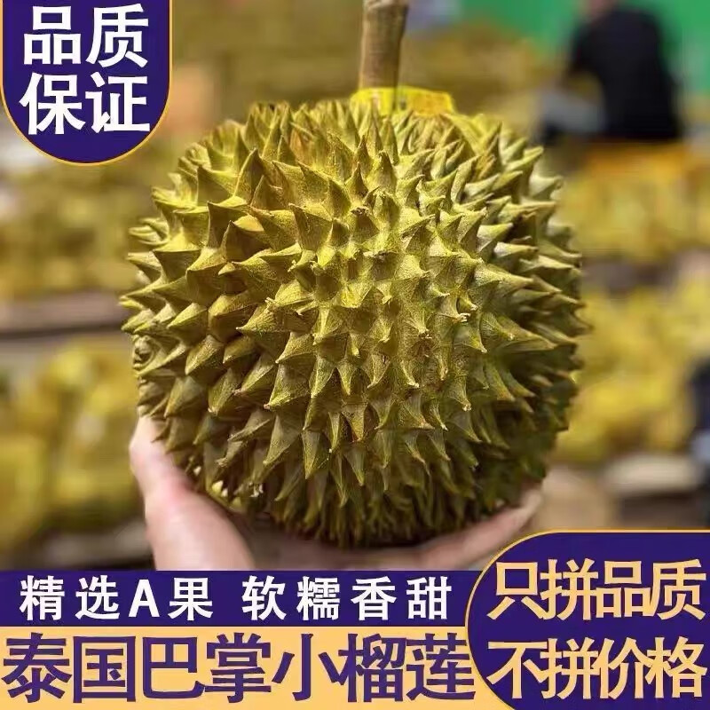 泰国长柄猫山王榴莲新鲜水果整果包邮当季进口巴掌干饶干尧榴莲 1棵 【甄选A果尝鲜】长柄猫山王2-3斤