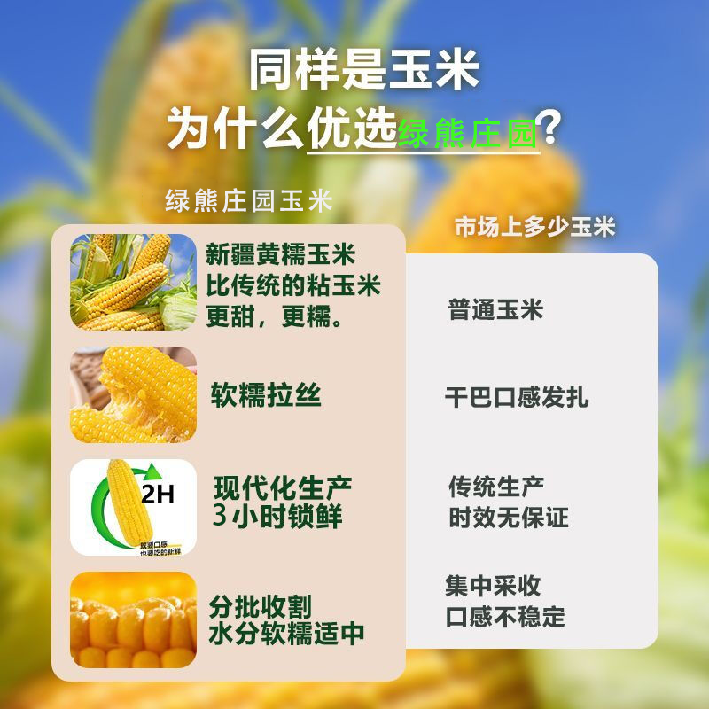 绿熊庄园新疆特产黄白糯玉米新鲜软糯香甜玉米黄玉米大棒粗粮早餐非即食 【一级大棒】恨甜大黄甜糯玉米 单根≥300g 净重5斤