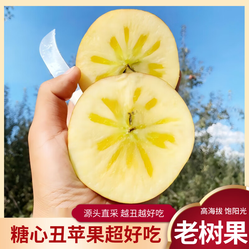 闽域寻鲜冰糖心丑苹果【多地次日达-核心产区】野生脆甜大凉山水果丑苹果 热卖：5斤【单果70-80mm】净重4.5斤