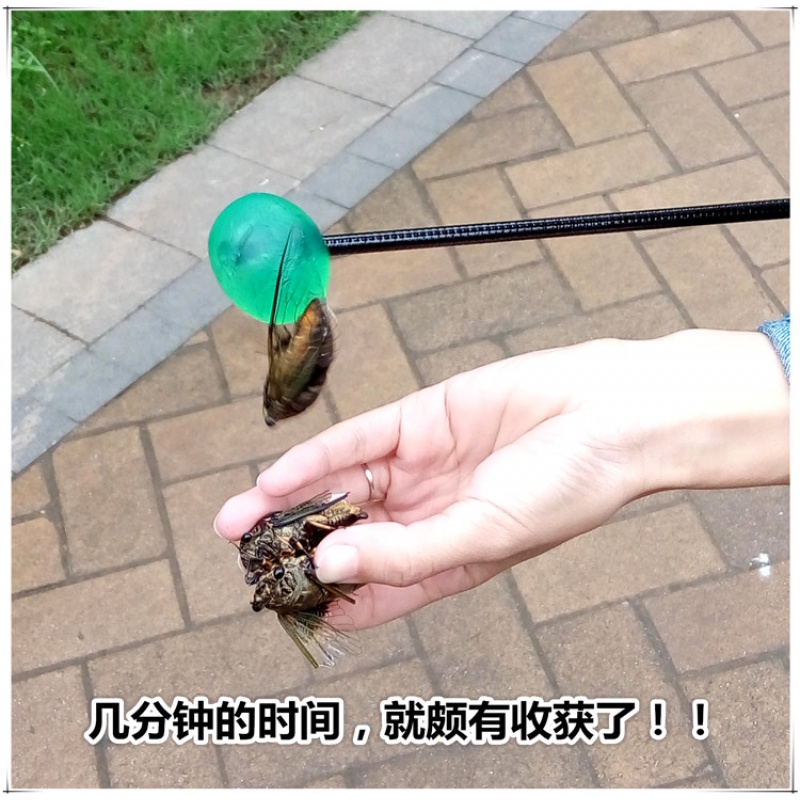 浪起 专业捕蝉粘知了杆粘蝉杆可伸缩捉知了粘球小手捕蝉工具知了杆子