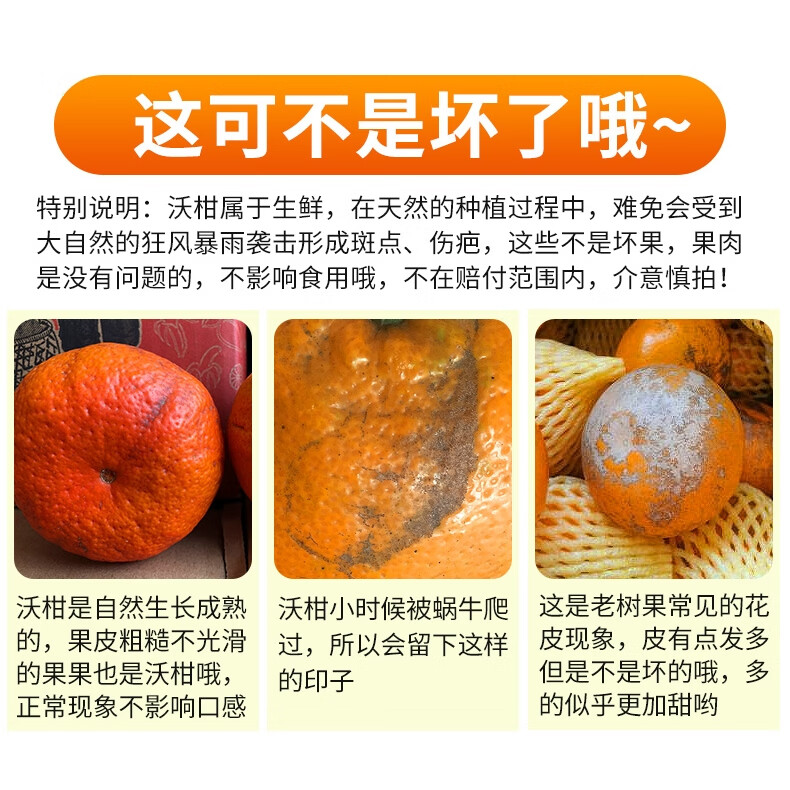 广西武鸣沃柑蜜桔子 香甜多汁橘子爱媛果冻橙脐橙耙耙柑生鲜水果 花皮果8.5-9斤65mm+(花皮不售后)