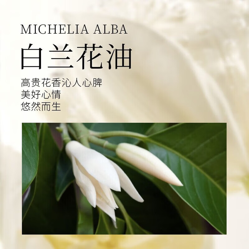 雪玉氨基酸洗面奶 男女士油皮清洁舒缓温和无刺激深层清洁洁面慕斯 雪玉氨基酸洗面奶 男女士油皮清洁