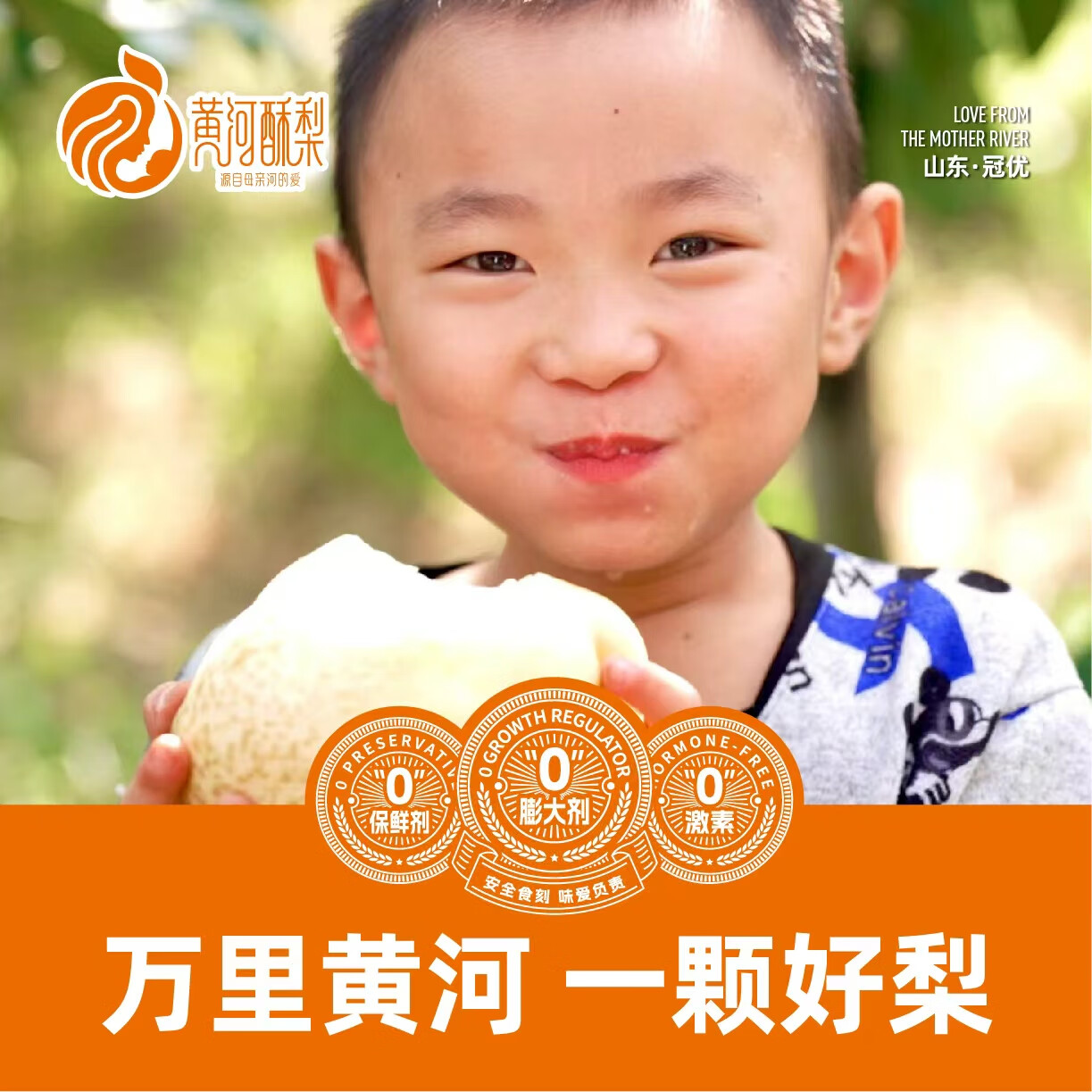 黄河酥梨 官方正品 尝鲜两粒装生鲜水果 农产品 特产 2粒(单果1斤~1.2斤)