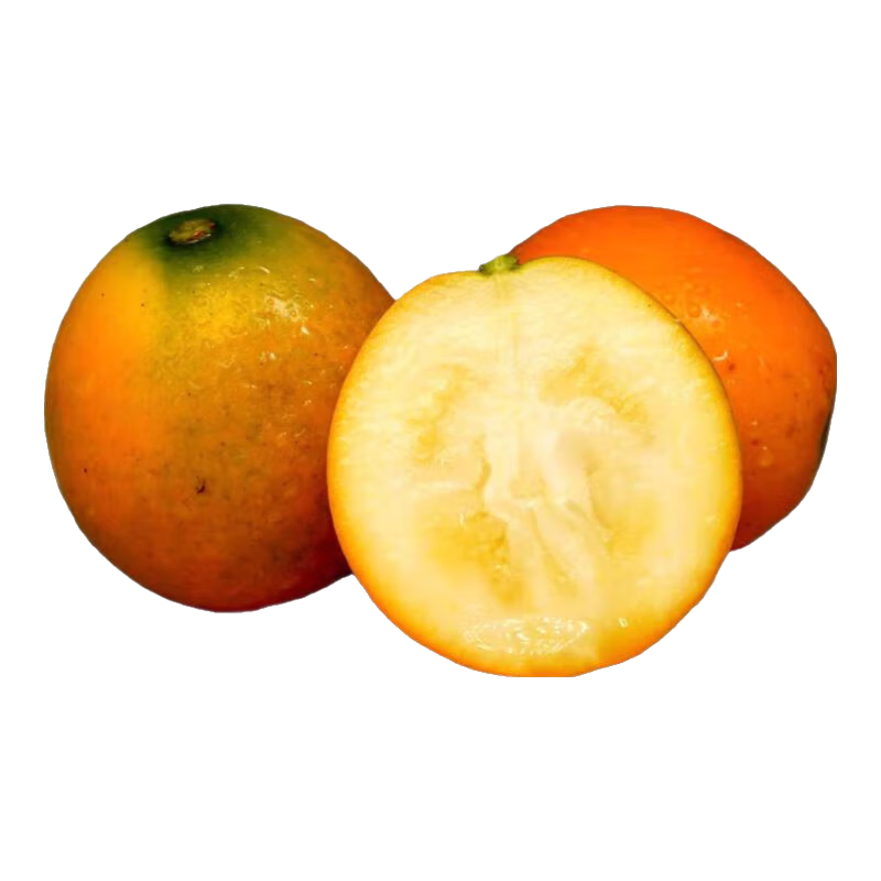 颗颗独立包装脆蜜金柑第三代广西融安脆蜜金桔鲜果蜜桔应季水果 净重实惠2斤装 4号果（糖果袋独立包装）