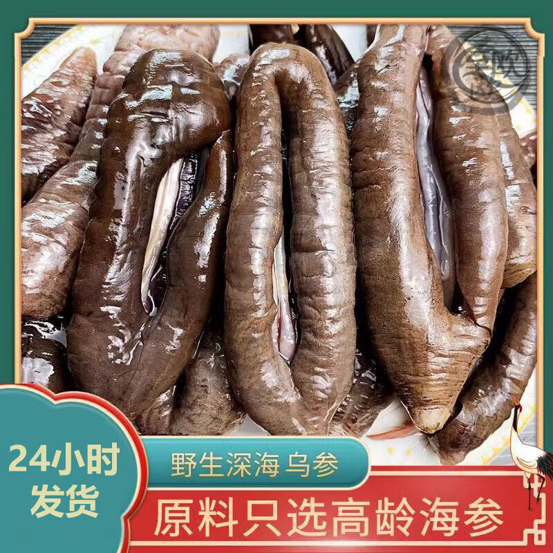 深海大乌参新鲜速冻即食野生海参免泡发海茄子水产海鲜海茄参 400g