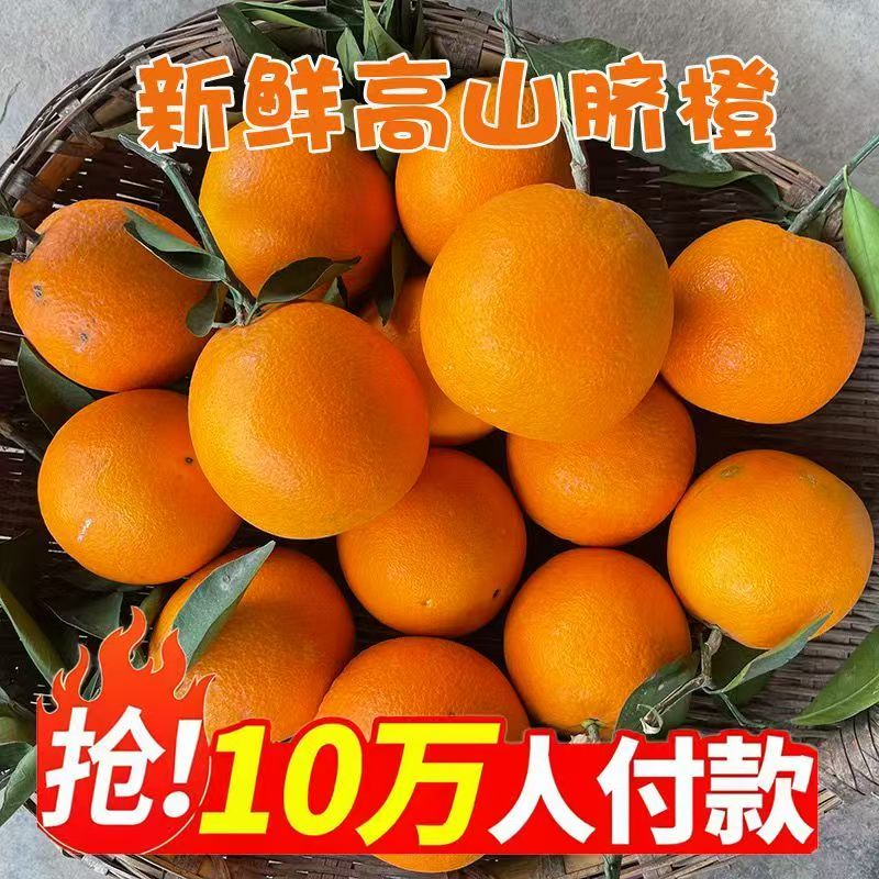湖南怀化高山脐橙新鲜橙子当季水果整箱当季酸甜水果生鲜应季时令 带箱10斤小果净重9斤