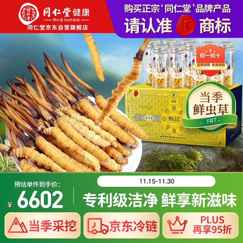同仁堂（TRT）品牌 新鲜虫草0.61-0.8克/条100条装冬虫夏草青海源头直发包邮