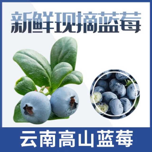 周匠当季现摘新鲜云南蓝莓 源头直发 京东快递到家 18mm+6盒 店长主推爆品（1盒125g）